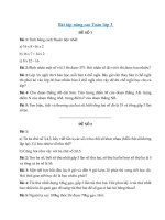 4) - Bài tập nghỉ ở nhà môn Toán lớp 3