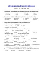 Tải Đề kiểm tra tiếng Anh lớp 10 học kì 2 năm 2019 - 2020 số 2 - Đề tiếng Anh lớp 10 hoc kì 2 có đáp án