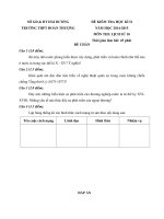 Tải Đề thi học kì 2 môn Lịch sử lớp 10 trường THPT Đoàn Thượng, Hải Dương năm học 2014 - 2015 - Đề kiểm tra học kỳ II môn Sử lớp 10 có đáp án