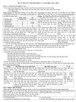 Đề cương ôn tập sinh 11 - Giáo viên Việt Nam