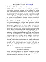 Tải Thuyết minh về cây phượng - Bài văn mẫu lớp 8