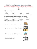 Tải Tổng hợp đề thi tiếng Anh lớp 5 cuối học kì 2 năm 2020 - Bộ đề thi lớp 5 cuối kì 2 môn Tiếng Anh có đáp án