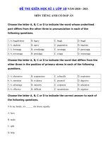 Tải Đề kiểm tra giữa kì 1 môn tiếng Anh lớp 10 có đáp án - Đề thi giữa kì 1 lớp 10 môn tiếng Anh năm 2020 - 2021