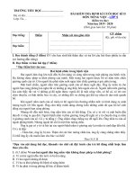 Tải Đề thi cuối học kì 2 lớp 5 môn Tiếng việt Có đáp án năm 2019 - 2020 - Đề thi lớp 5 cuối kì 2 môn Tiếng việt