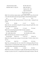 Tải Đề thi học kì 2 môn Hóa học lớp 11 trường THPT Lý Thái Tổ, Bắc Ninh năm học 2016 - 2017 - Đề kiểm tra học kỳ II môn Hóa lớp 11 có đáp án