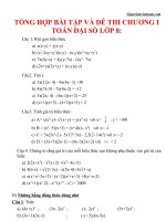 Ôn tập chương 1 đại số 8 - Giáo viên Việt Nam