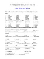 Tải Đề thi học sinh giỏi môn Tiếng Anh lớp 10 năm học 2018 - 2019 số 8 - Bồi dưỡng học sinh giỏi lớp 10 môn Anh có đáp án