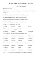 Tải Đề thi học kì 2 lớp 11 môn Tiếng Anh năm học 2018 - 2019 số 3 - Đề thi học kì 2 môn Tiếng Anh lớp 11 chương trình mới