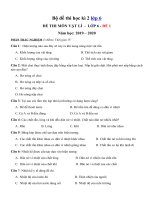 Tải Bộ đề thi học kì 2 lớp 6 môn Vật lý năm học 2019 - 2020 - Đề thi Vật lý lớp 6 học kì 2