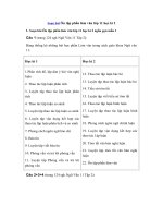 Tải Soạn bài Ôn tập phần làm văn lớp 11 học kì 2 ngắn gọn - Soạn bài lớp 11