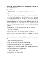 Tải Phân tích cảnh hạ huyệt cụ cố tổ trong đoạn trích Hạnh phúc của một tang gia - 3 Bài văn mẫu lớp 11