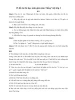 Đề thi học sinh giỏi Tiếng Việt 3 có đáp án - Giáo viên Việt Nam