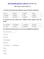 Tải Đề thi giữa kì 1 lớp 10 môn tiếng Anh năm 2020 - 2021 - Đề kiểm tra tiếng Anh lớp 10 giữa học kì 1 có đáp án