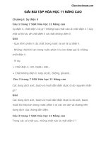 Giải bài tập hóa 11 nâng cao chương 1 - Giáo viên Việt Nam