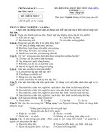 Tải Đề luyện thi vào lớp 6 môn Tiếng Việt năm 2020 - Đề thi tuyển sinh vào lớp 6