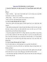 Tải Soạn văn 11 bài Hạnh phúc của một tang gia - Soạn bài lớp 11