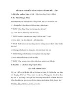 Tải Đề thi học kì 2 môn Tiếng Việt lớp 4 năm học 2018 - Đề kiểm tra học kì 2 môn Tiếng Việt lớp 4 có đáp án