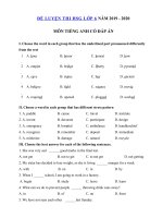 Tải Đề thi học sinh giỏi tiếng Anh lớp 6 năm 2019 - 2020 số 7 - Đề kiểm tra tiếng Anh lớp 6 nâng cao có đáp án