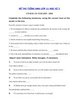 Tải Đề kiểm tra tiếng Anh lớp 11 học kì 2 năm 2019 - 2020 - Đề thi học kì 2 lớp 11 môn tiếng Anh có đáp án