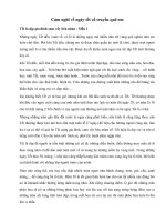 Tải Cảm nghĩ về ngày tết cổ truyền quê em - Tả về ngày Tết ở quê em