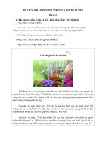 Đề thi giữa kì 2 lớp 5 môn Tiếng Việt