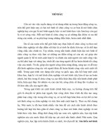 Tieu luan to chuc cong vu theo viec lam