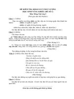 Bộ đề thi học sinh giỏi tiếng Việt lớp 5 - Giáo viên Việt Nam