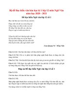 Tải Bộ đề Đọc hiểu văn bản học kì 1 lớp 12 môn Ngữ Văn năm học 2020 - 2021 - 8 đề đọc hiểu Ngữ Văn 12 có đáp án