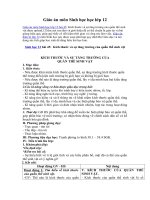 Tải Giáo án môn Sinh học lớp 12 bài 45 - Kích thước và sự tăng trưởng của quần thể sinh vật