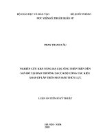 Nghiên cứu khả năng hạ cọc ống thép trên nền san hô tại đảo trường sa của bộ công tác kiểu xoay ép lắp trên máy đào thủy lực 