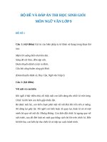 BỘ đề và đáp án LUYỆN THI học SINH GIỎI văn 9 