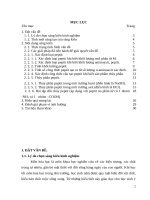 Sáng kiến kinh nghiệm, SKKN - Phân loại và phương pháp giải một số bài tập cơ bản về peptit