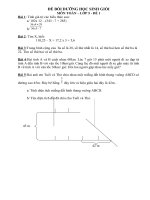 Đề thi học sinh giỏi lớp 5 môn Toán chọn lọc - Giáo viên Việt Nam