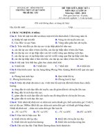 Tải Đề thi giữa học kì 1 lớp 10 môn Địa lý Trường THPT Lê Quý Đôn, Bình Phước năm 2020 - 2021 - Đề kiểm tra giữa học kì 1 lớp 10 môn Địa