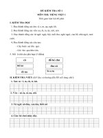 Bộ 14 đề kiểm tra học kì 1 môn Tiếng Việt lớp 1