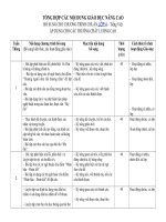 Tải Khung chương trình nâng cao môn Tiếng Việt lớp 4 - Chương trình Tiếng Việt lớp 4 nâng cao