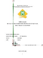 TIỂU LUẬN ĐẠI CƯƠNG KT-MT( Ô NHIẾM ĐẤT)