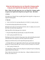 Tải Phân tích tính hung bạo của con Sông Đà ở thượng nguồn trong tùy bút Người lái đò sông Đà của Nguyễn Tuân - Bài văn mẫu lớp 12