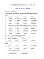 Tải Đề thi học sinh giỏi môn Tiếng Anh lớp 10 năm học 2018 - 2019 số 7 - Ôn thi học sinh giỏi lớp 10 cấp tỉnh môn Tiếng Anh có đáp án