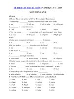 Tải Bộ đề thi học kì 2 lớp 7 môn Tiếng Anh năm học 2018 - 2019 - Đề thi học kì 2 môn Tiếng Anh lớp 7 chương trình mới