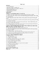 Sáng kiến kinh nghiệm, SKKN - Dạy học đọc hiểu các văn bản văn học phi hư cấu trong chương trình Ngữ văn THPT