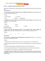 Tải Giải bài tập SGK Tiếng Anh lớp 11 Chương trình mới Review 3 - Để học tốt Tiếng Anh 11 Thí điểm