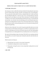 Tải Bài thu hoạch bồi dưỡng thường xuyên module THCS10 - Rào cản học tập của các đối tượng học sinh THCS