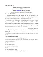 Tải Đề thi học sinh giỏi môn Ngữ văn lớp 11 trường THPT Đô Lương 2, Nghệ An - Đề thi học sinh giỏi lớp 11 môn Ngữ văn có đáp án