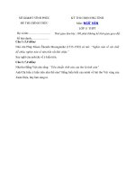 Tải Đề thi học sinh giỏi môn Ngữ văn lớp 11 tỉnh Vĩnh phúc - Đề thi học sinh giỏi cấp tỉnh lớp 11 môn Ngữ văn có đáp án