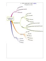 Tải Tổng hợp kiến thức Luyện từ và câu lớp 3 - Bài tập luyện từ và câu lớp 3