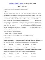 Tải Đề thi học kì 2 lớp 11 môn Tiếng Anh năm học 2018 - 2019 số 4 - Đề thi học kì 2 môn Tiếng Anh lớp 11 chương trình mới