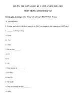 Đề thi giữa kì 1 Tiếng Anh 6 năm học 2020 - 2021 - Giáo viên Việt Nam