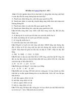 Tải Đề kiểm tra Vật lý 9 học kì 2 - Đề 2 - Đề kiểm tra HK 2 lớp 9 môn Lí có đáp án