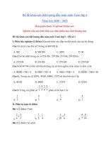 Tải Bộ đề thi khảo sát chất lượng đầu năm môn Toán lớp 5 năm học 2020 - 2021 - Đề thi khảo sát chất lượng đầu năm lớp 5
